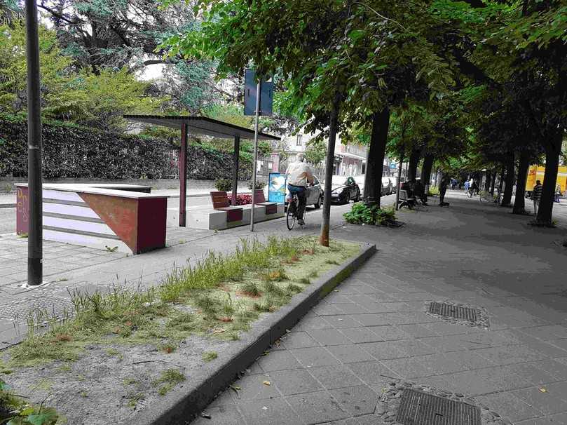 Schattenspender in Turin. | Foto: Wotha Schattenspender in Turin. | Foto: Wotha