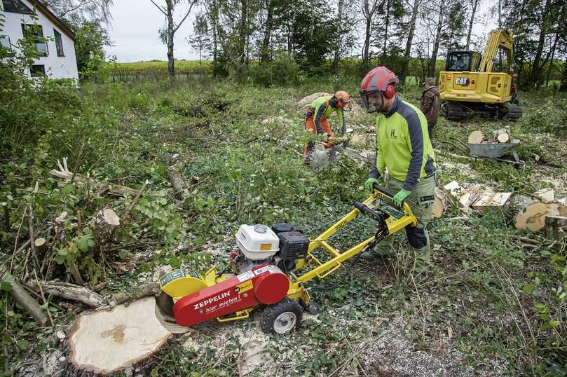 Die kompakte Fräse RG 13 S II ermöglicht eine restlose und sichere Entfernung von Baumstümpfen. | Foto: action press / Christian Rudnik Die kompakte Fräse RG 13 S II ermöglicht eine restlose und sichere Entfernung von Baumstümpfen. | Foto: action press / Christian Rudnik