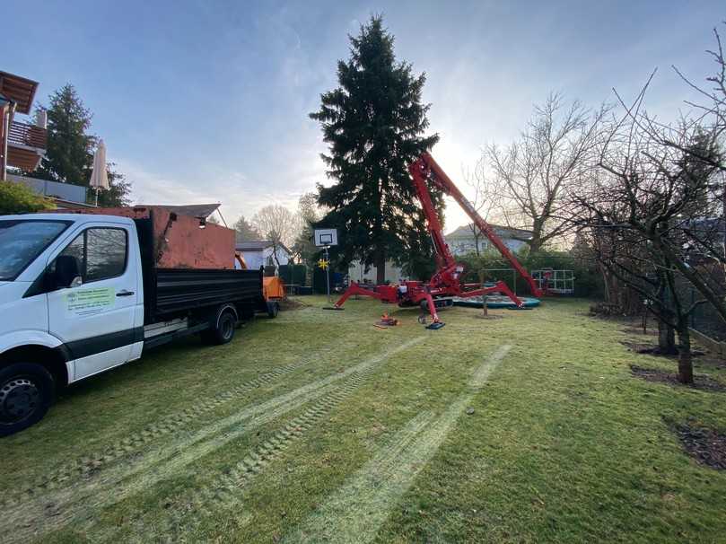 Wenn der Eichwalder Baumdienst anrückt, kommen Arbeitsbühne, Häcksler und Transportfahrzeug zum Einsatz. | Foto: Eichwalder Baumdienst Wenn der Eichwalder Baumdienst anrückt, kommen Arbeitsbühne, Häcksler und Transportfahrzeug zum Einsatz. | Foto: Eichwalder Baumdienst