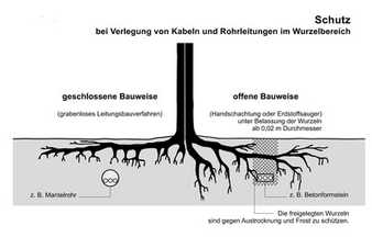 Aktuelle Normen und Regelwerke für den Baumschutz auf Baustellen