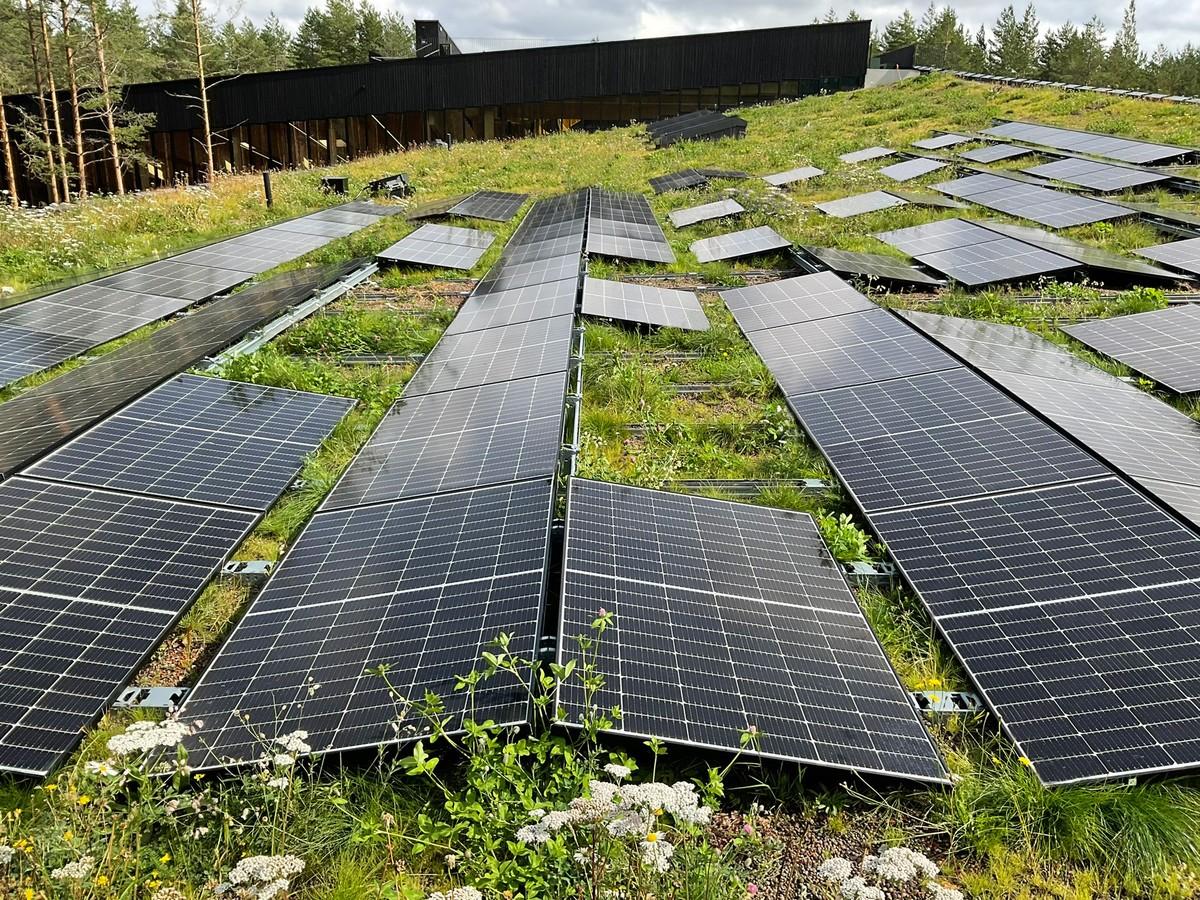 Biodiversität plus Solar ist eine wertvolle Kombination mit vielen Synergieeffekten. | Foto: MATTAK AS Biodiversität plus Solar ist eine wertvolle Kombination mit vielen Synergieeffekten. | Foto: MATTAK AS