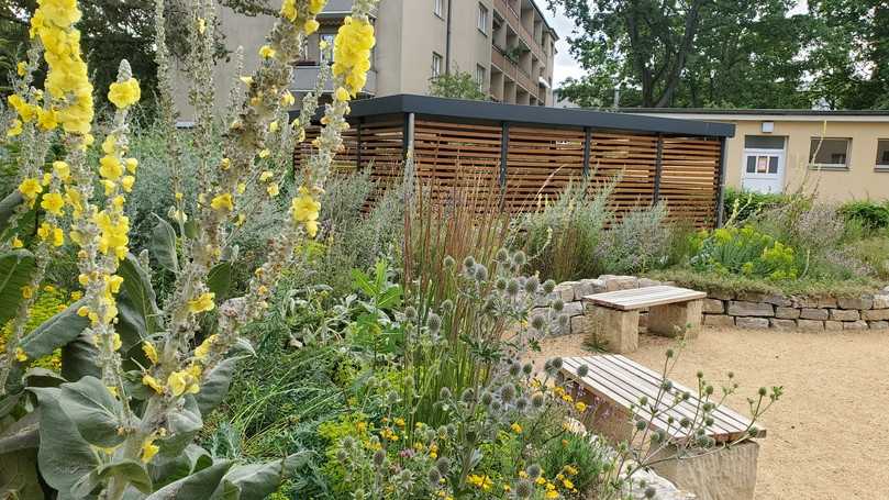 Geplant von der Stiftung für Mensch und Umwelt: ein Piko-Park, also ein kleiner, naturnah gestalteter Park, in Berlin mit heimischen Pflanzen in den drei Themenbeeten Steinhabitat, magere Staudenmischpflanzung und essbare Wildpflanzen. | Foto: Stiftung für Mensch und Umwelt Geplant von der Stiftung für Mensch und Umwelt: ein Piko-Park, also ein kleiner, naturnah gestalteter Park, in Berlin mit heimischen Pflanzen in den drei Themenbeeten Steinhabitat, magere Staudenmischpflanzung und essbare Wildpflanzen. | Foto: Stiftung für Mensch und Umwelt