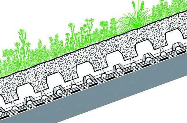 Systemaufbau „Begrüntes Schrägdach“: Vorkultivierte Vegetationsmatten Systemerde „Steinrosenflur“ Floraset FS 75 Speicherschutzmatte SSM 45 Dachaufbau mit wurzelfester Dachabdichtung. Systemaufbau „Begrüntes Schrägdach“: Vorkultivierte Vegetationsmatten Systemerde „Steinrosenflur“ Floraset FS 75 Speicherschutzmatte SSM 45 Dachaufbau mit wurzelfester Dachabdichtung.