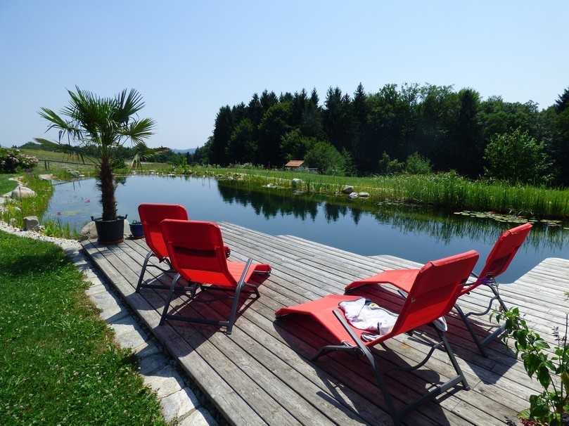 Empfohlen wird, den Schwimmbereich architektonisch von den Pflanzenflächen zu trennen, beispielsweise durch eine unter der Wasseroberfläche verlaufende Kante. | Foto: Pixabay Empfohlen wird, den Schwimmbereich architektonisch von den Pflanzenflächen zu trennen, beispielsweise durch eine unter der Wasseroberfläche verlaufende Kante. | Foto: Pixabay