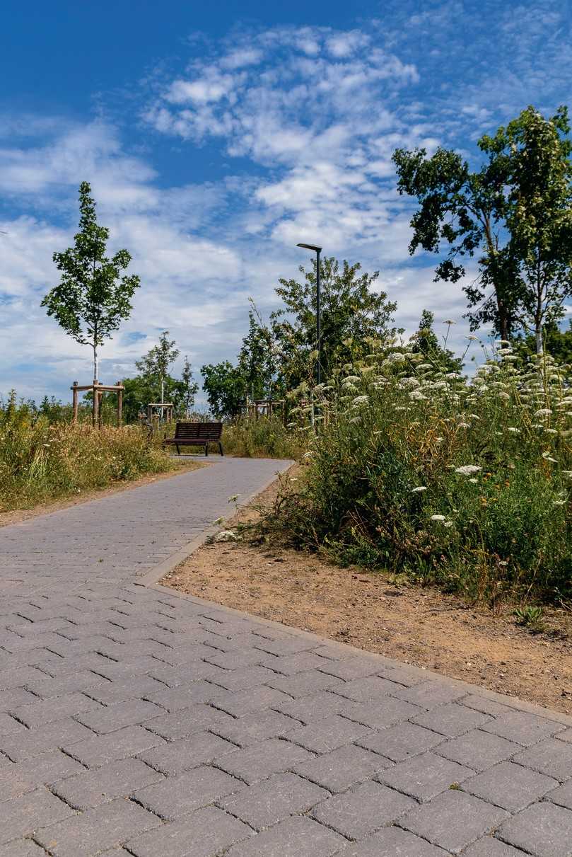 Gepflasterte Wege führen durch artenreiche Wiesen, die von Sträuchern und Bäumen aufgelockert werden | Foto: Guido Wollenberg / Jasto Baustoffwerke Gepflasterte Wege führen durch artenreiche Wiesen, die von Sträuchern und Bäumen aufgelockert werden | Foto: Guido Wollenberg / Jasto Baustoffwerke