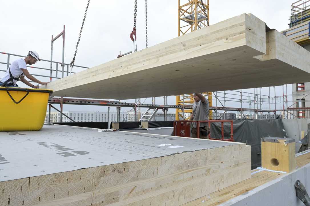 Holzbau: Förderfähige Projekte zum Bauen mit Laubholz gesucht Holzbau: Förderfähige Projekte zum Bauen mit Laubholz gesucht