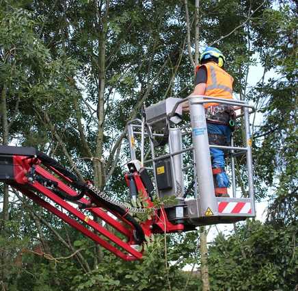 Vom Klettern zur Arbeitsbühne: Baumpflege mit neuer Arbeitsbühne