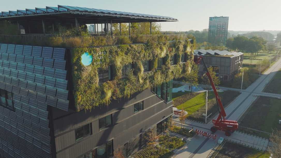 Gebäudebegrünung pflegen: So arbeitet die Ginkel Groep mit Stihl-Akku-Geräten Gebäudebegrünung pflegen: So arbeitet die Ginkel Groep mit Stihl-Akku-Geräten