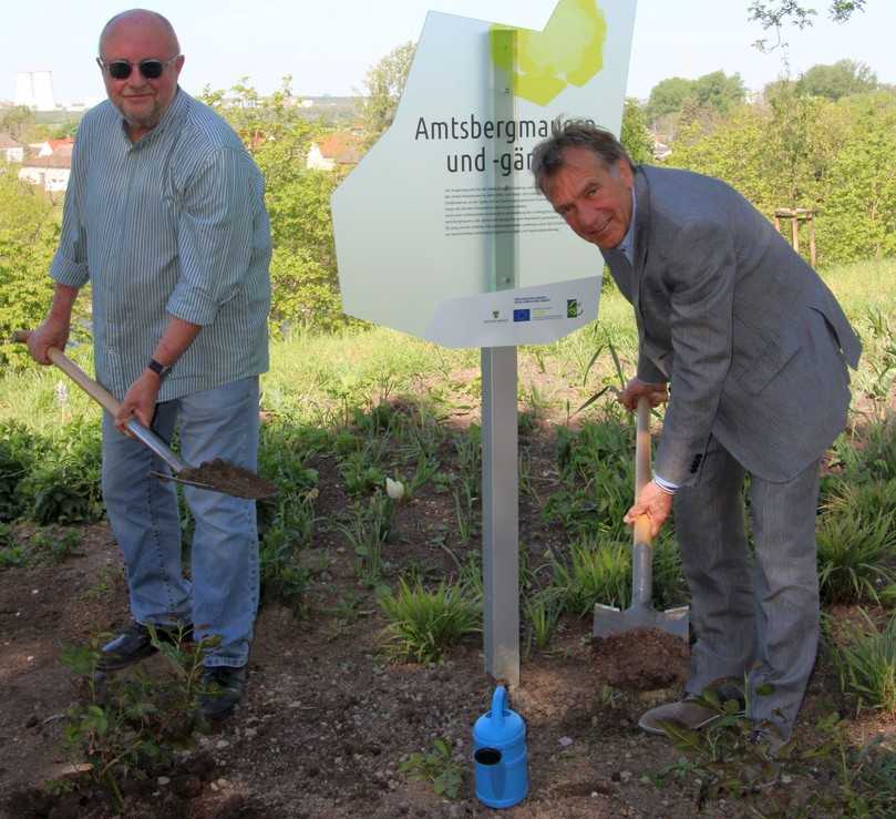 Pflanzaktion zum 252. Geburtstag von Dichter Novalis im Kurpark von Bad Dürrenberg. | Foto: Landesgartenschau Pflanzaktion zum 252. Geburtstag von Dichter Novalis im Kurpark von Bad Dürrenberg. | Foto: Landesgartenschau