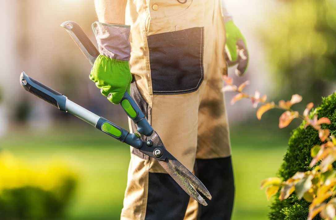 Tarifabschluss 2025 im GaLaBau: So viel Geld gibt es Tarifabschluss 2025 im GaLaBau: So viel Geld gibt es