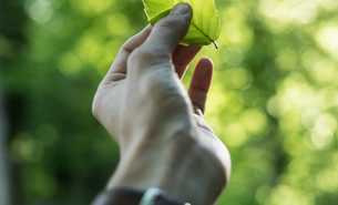 Schleswig-Holstein verlängert Vertrag für Kompetenzzentrum