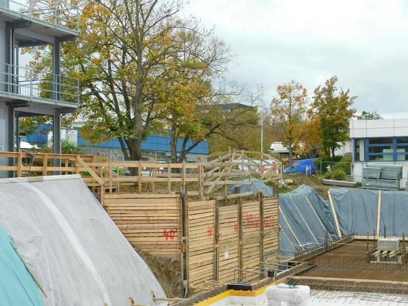 Anstelle einer Böschung wurde hier im Bereich der Bäume auf Anraten eines Baumgutachters ein senkrechter Baugrubenverbau angelegt. Hierdurch konnte ein deutlich größeres Wurzelvolumen erhalten bleiben. | Foto: Gaiser Anstelle einer Böschung wurde hier im Bereich der Bäume auf Anraten eines Baumgutachters ein senkrechter Baugrubenverbau angelegt. Hierdurch konnte ein deutlich größeres Wurzelvolumen erhalten bleiben. | Foto: Gaiser