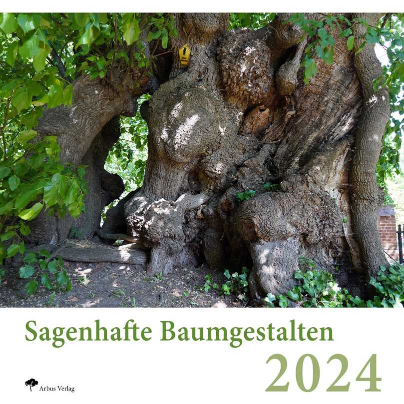 Diese im Landkreis Vorpommern-Rügen wachsende Linde beeindruckt mit einem Stammumfang von 11 m. Ihr Alter mag bei 700 Jahren liegen. | Foto: Peter Klug Diese im Landkreis Vorpommern-Rügen wachsende Linde beeindruckt mit einem Stammumfang von 11 m. Ihr Alter mag bei 700 Jahren liegen. | Foto: Peter Klug
