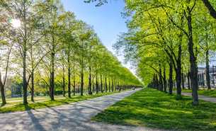 Niedersachsen: Nachhaltige Beschaffung