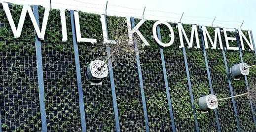 Auf der Buga 2023 wächst ein vertikaler Garten aus der Wand Auf der Buga 2023 wächst ein vertikaler Garten aus der Wand