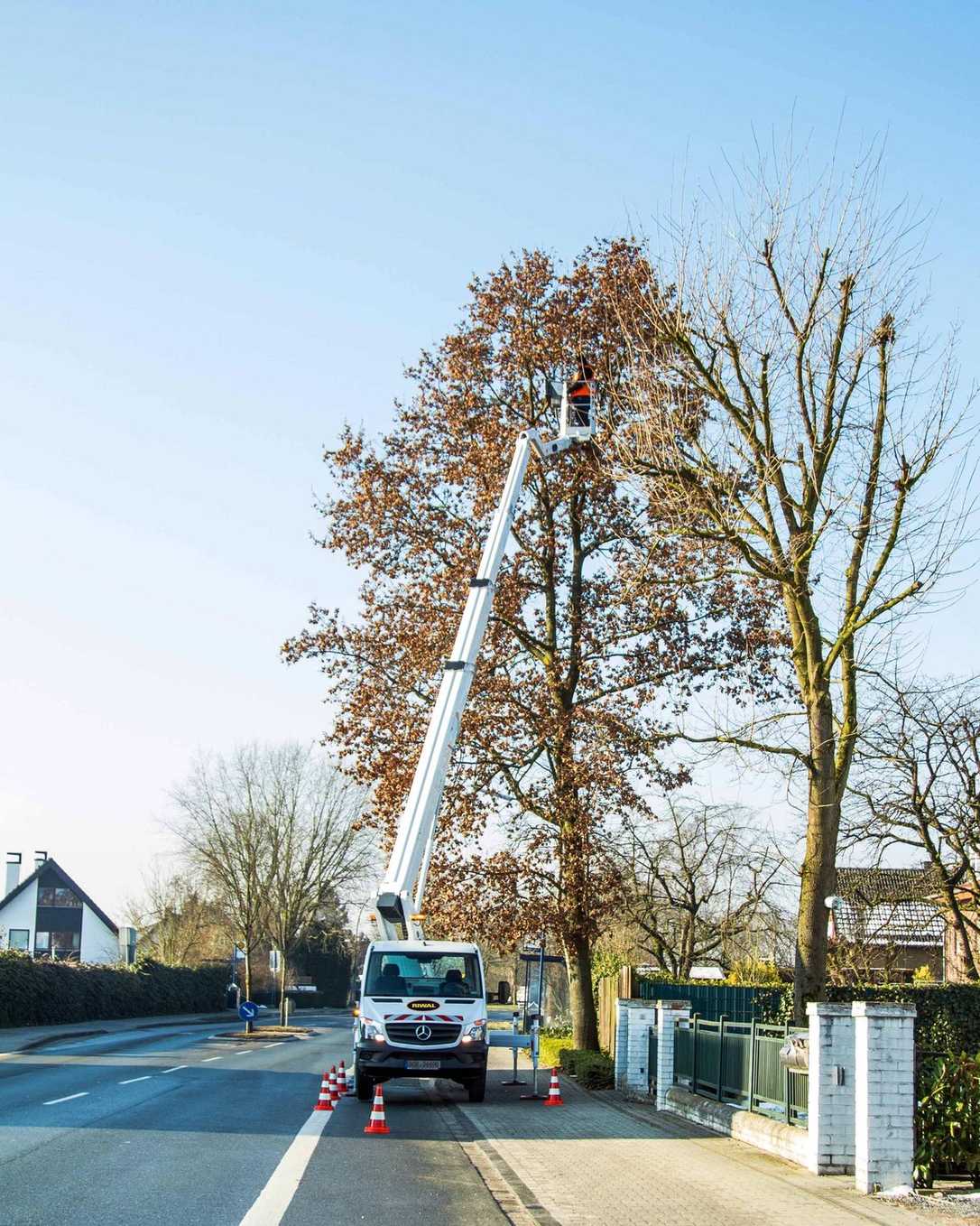 Hoch hinaus im GaLaBau: Arbeitsbühnen von Riwal für jeden Einsatz Hoch hinaus im GaLaBau: Arbeitsbühnen von Riwal für jeden Einsatz