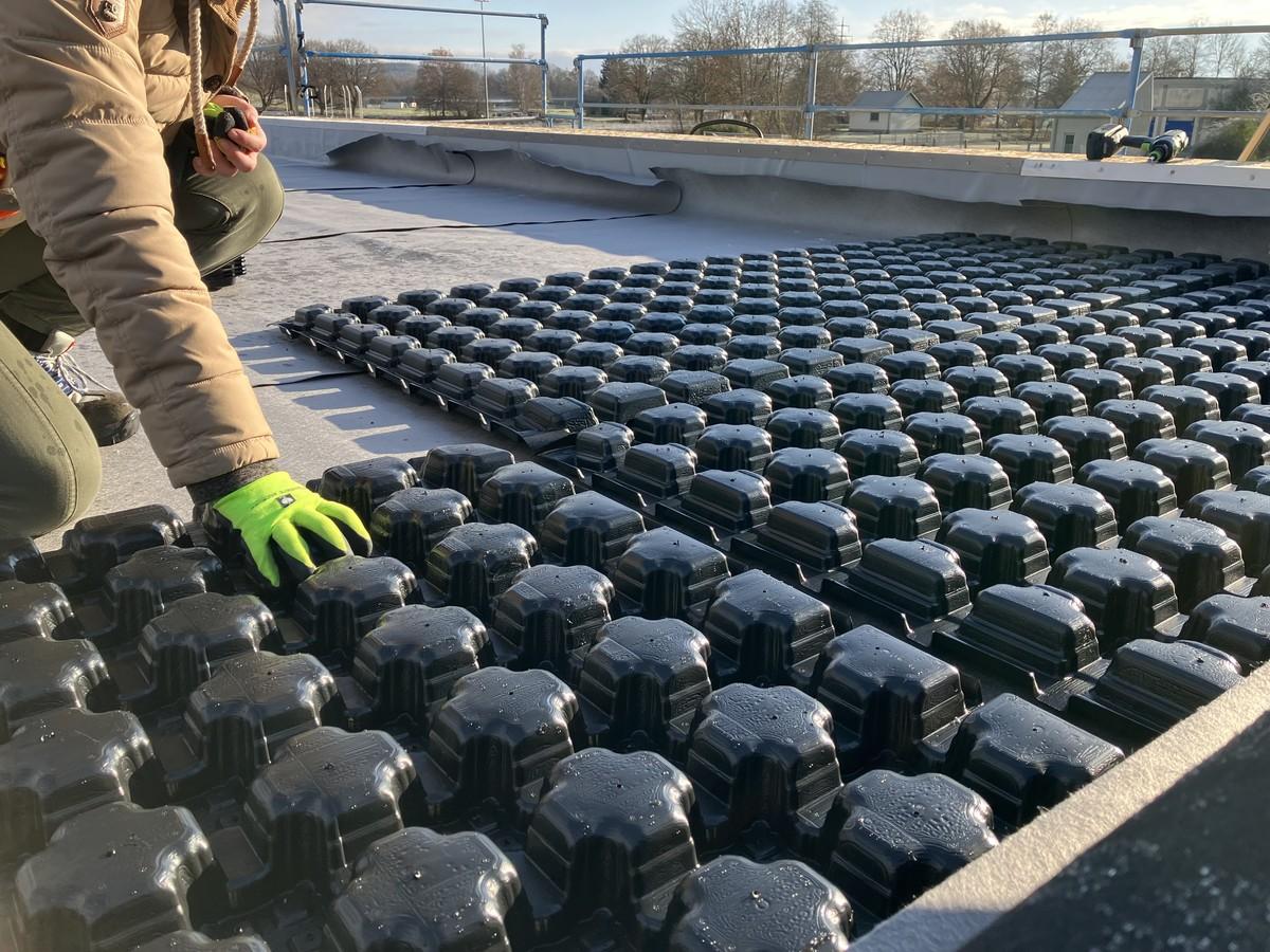 Retentions-Gründach Sponge City Roof. Oberhalb Dämmung und Dichtung acht Zentimeter hohe Spacer-Elemente mit Hohlräumen für flächigen Wasserspeicher mit einem Volumen von 19,2 m³ und einer maximalen Last von 80 kg/m². Dies liegt noch deutlich unter der für den Winter zu berücksichtigenden Schneelast vor Ort. | Foto: Mall