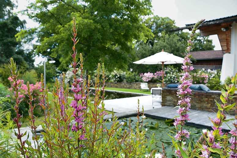 101 Traumgärten: Eine inspirierende Reise in die Welt der individuellen Gartenparadiese 101 Traumgärten: Eine inspirierende Reise in die Welt der individuellen Gartenparadiese