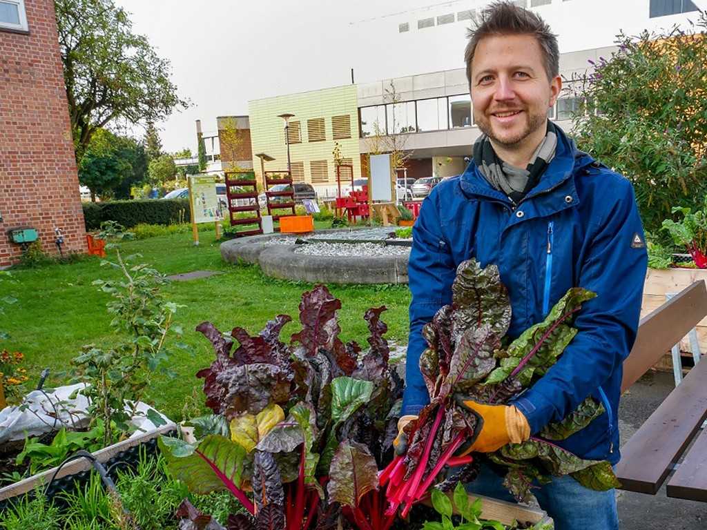 Schutz vor Schadstoffen und Vandalismus beim Urban Gardening Schutz vor Schadstoffen und Vandalismus beim Urban Gardening