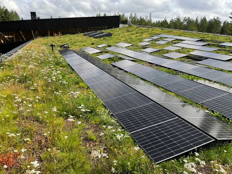 Die regionaltypische Biodiversität wird ebenfalls durch die Kultivierung von 20.000 Stecklingen erzielt, die man eigens in der Umgebung sammelte. | Foto: MATTAK AS Die regionaltypische Biodiversität wird ebenfalls durch die Kultivierung von 20.000 Stecklingen erzielt, die man eigens in der Umgebung sammelte. | Foto: MATTAK AS