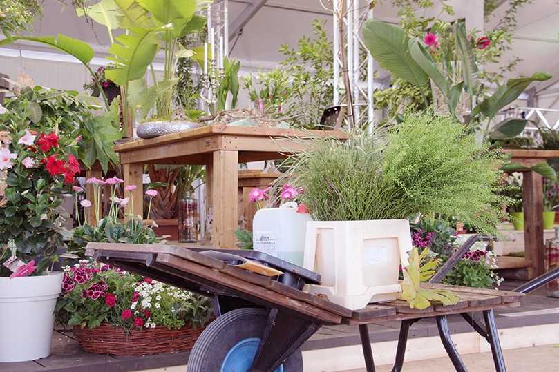 Die Landesgartenschau in Bad Dürrenberg möchte die Besucher erfreuen und inspirieren. | Foto: Sabine Krems-Jany Die Landesgartenschau in Bad Dürrenberg möchte die Besucher erfreuen und inspirieren. | Foto: Sabine Krems-Jany