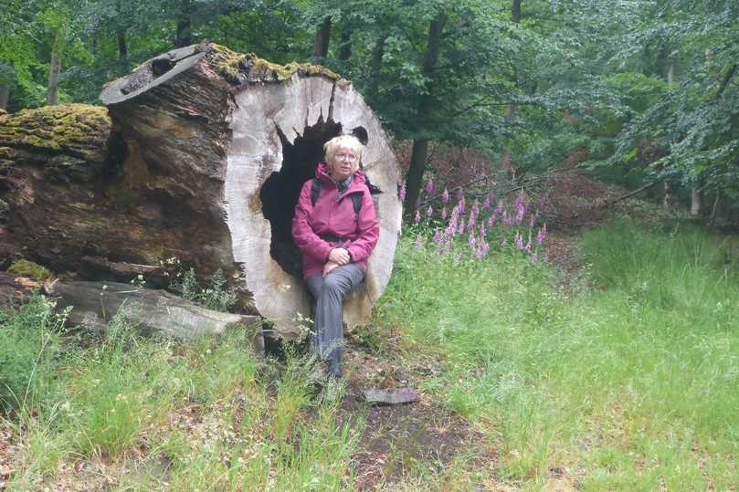Anke Bosch: "Eine Folge des Trocken- und Hitzestresses ist die Zunahme von Pathogene und die Zunahme von Kalamitäten." | Foto: Anke Bosch Anke Bosch: "Eine Folge des Trocken- und Hitzestresses ist die Zunahme von Pathogene und die Zunahme von Kalamitäten." | Foto: Anke Bosch