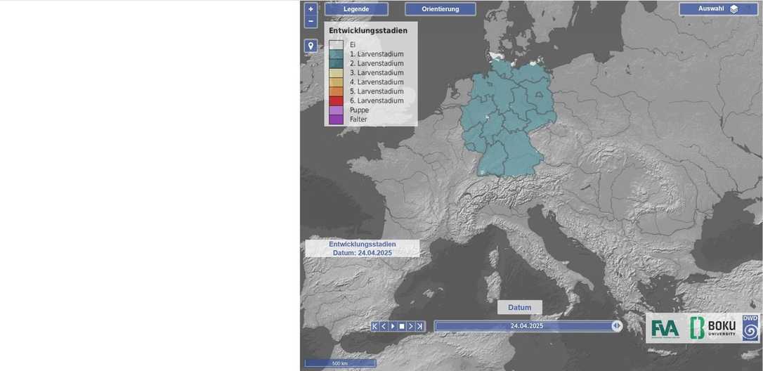 Frühwarnsystem für Eichenprozessionsspinner – Phenthauproc vom Deutschen Wetterdienstes Frühwarnsystem für Eichenprozessionsspinner – Phenthauproc vom Deutschen Wetterdienstes