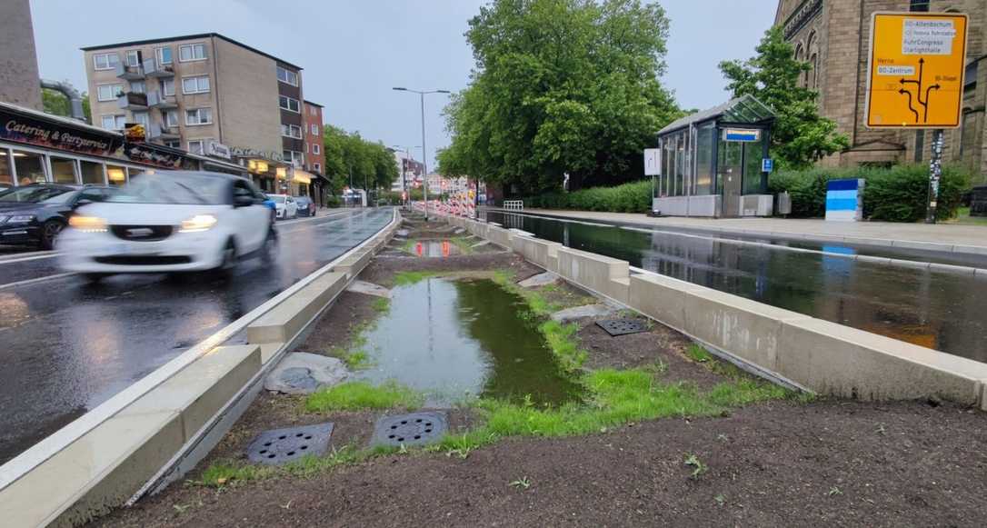 Neues Substrat bietet neue Möglichkeiten in der Stadt Neues Substrat bietet neue Möglichkeiten in der Stadt