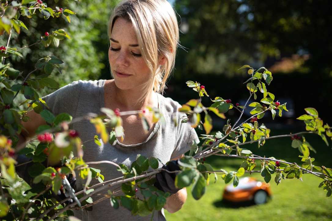 Was im Garten alles im Trend liegt Was im Garten alles im Trend liegt