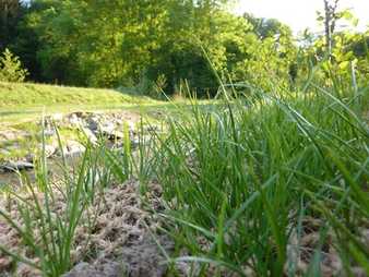 Erosionsschutzmatten für jeden Einsatzzweck