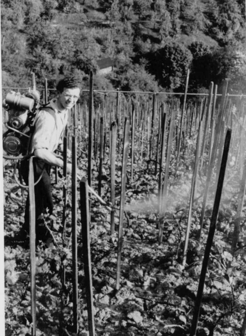 Zum Jubiläum lohnt ein Blick in die Firmengeschichte: Einsatz mit Sprühgerät im Jahr 1951. | Foto: Solo Zum Jubiläum lohnt ein Blick in die Firmengeschichte: Einsatz mit Sprühgerät im Jahr 1951. | Foto: Solo