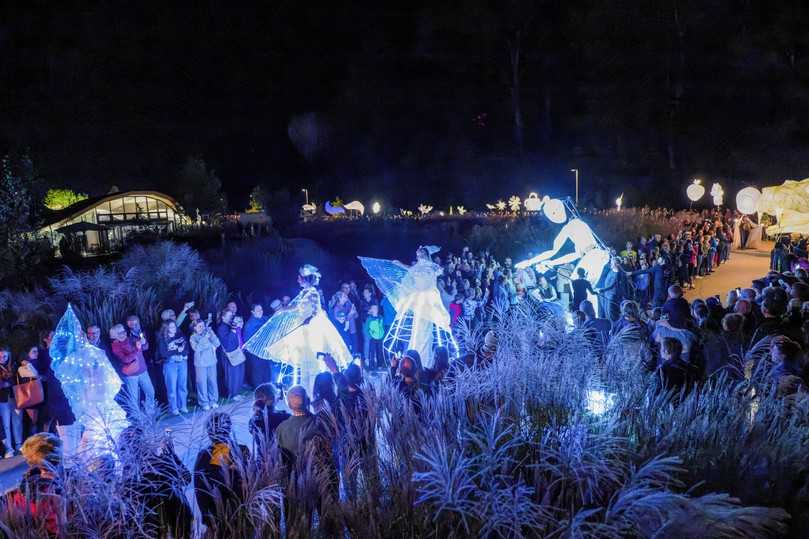 Das „Glitzernde Fest der Lichter" lockte am Samstag 22.000 Besucher auf die Landesgartenschau in Wangen und verwandelte die Parks in eine strahlende Märchenlandschaft. | Foto: Christoph Morlok Das „Glitzernde Fest der Lichter" lockte am Samstag 22.000 Besucher auf die Landesgartenschau in Wangen und verwandelte die Parks in eine strahlende Märchenlandschaft. | Foto: Christoph Morlok