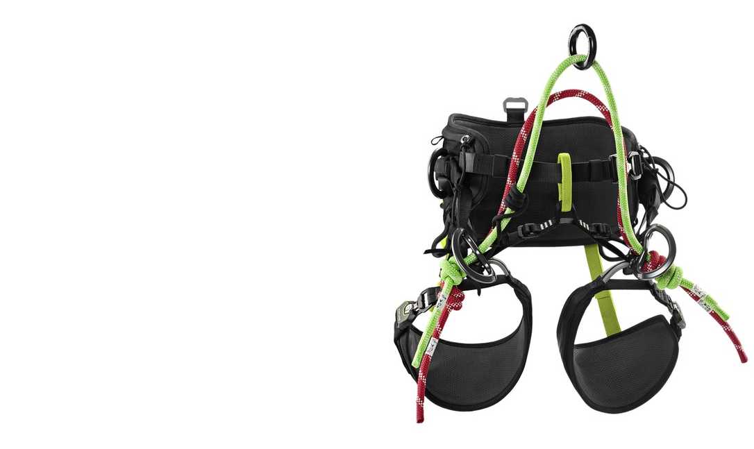 Treerex II von Edelrid: Ein Update für Baumkletterer