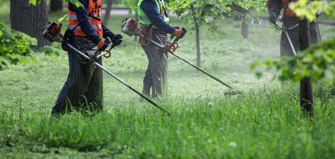Die besten Freischneider 2025 - Motorsensen für Profis & Heimwerker Die besten Freischneider 2025 - Motorsensen für Profis & Heimwerker