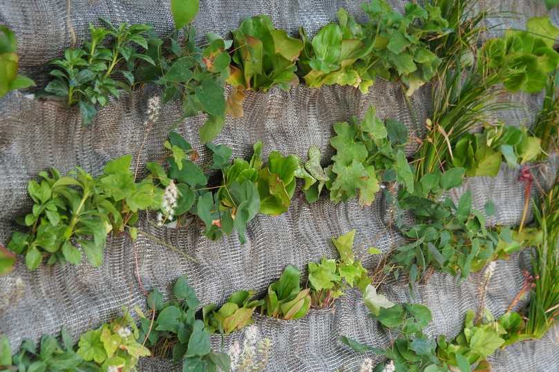 Um den Insektenbestand in der Grünfassade kümmern sich diverse Vogelarten aus der Region. | Foto: Drees & Sommer SE / Jürgen Pollak Um den Insektenbestand in der Grünfassade kümmern sich diverse Vogelarten aus der Region. | Foto: Drees & Sommer SE / Jürgen Pollak