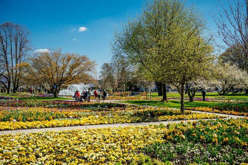 Es grünt und blüht auf der Bundesgartenschau. | Foto: bs Es grünt und blüht auf der Bundesgartenschau. | Foto: bs