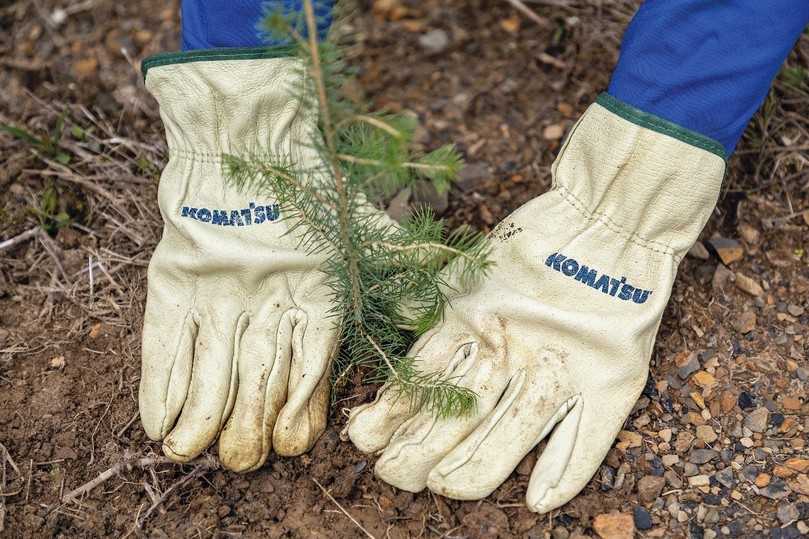 Für jede ab dem 1. April 2021 verkaufte Maschine pflanzt Komatsu 10 Bäume. | Foto: Baublatt Österreich Für jede ab dem 1. April 2021 verkaufte Maschine pflanzt Komatsu 10 Bäume. | Foto: Baublatt Österreich