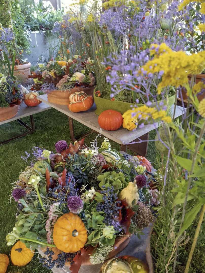 Bunter Herbstzauber auf der Landesgartenschau in Bad Dürrenberg. | Foto: Colette Dörrwand Bunter Herbstzauber auf der Landesgartenschau in Bad Dürrenberg. | Foto: Colette Dörrwand