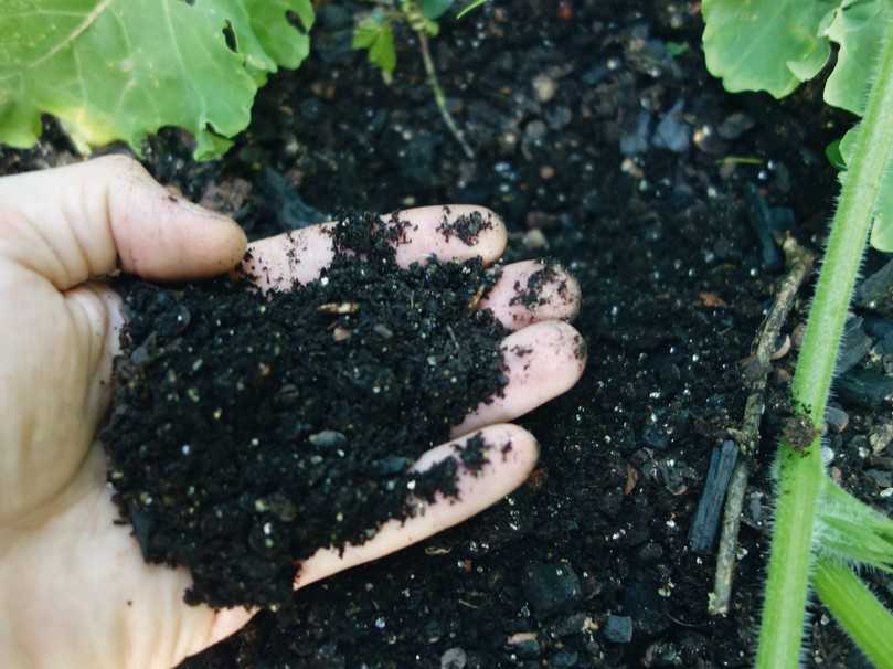 Die torffreie Palaterra Hochbeeterde eignet sich für die Komplettbefüllung von Hochbeeten und größeren Planzgefäßen im Außenbereich. Sie enthält mikrobiologisch aktivierte Pflanzenkohle. | Foto: klimafarmer GmbH Die torffreie Palaterra Hochbeeterde eignet sich für die Komplettbefüllung von Hochbeeten und größeren Planzgefäßen im Außenbereich. Sie enthält mikrobiologisch aktivierte Pflanzenkohle. | Foto: klimafarmer GmbH