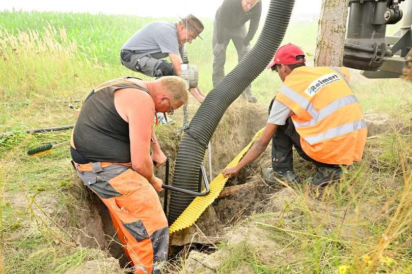 Mit archäologischer Sorgfalt: Wurzelausgrabung im IKT-Versuchsstand in Almere/Niederlande | Foto: IKT Mit archäologischer Sorgfalt: Wurzelausgrabung im IKT-Versuchsstand in Almere/Niederlande | Foto: IKT