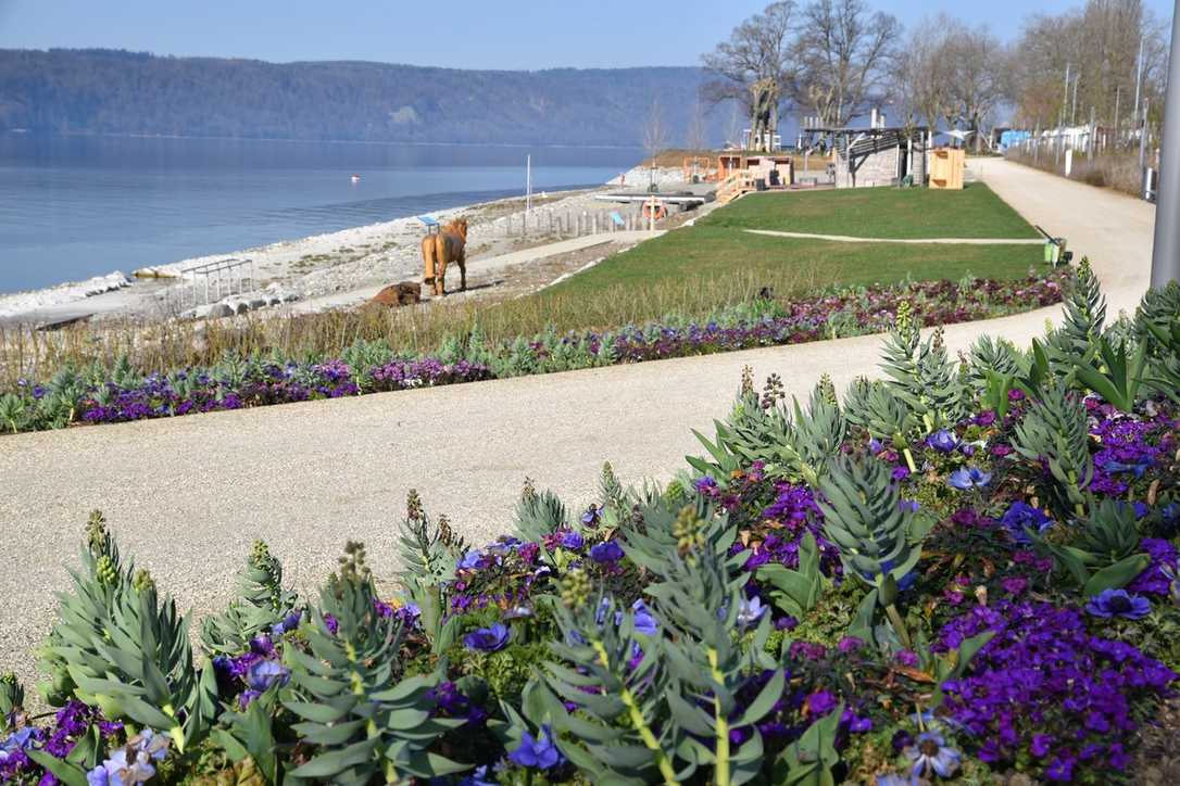 Neues Infektionsschutzgesetz macht's möglich: Landesgartenschau Überlingen eröffnet Ende April Neues Infektionsschutzgesetz macht's möglich: Landesgartenschau Überlingen eröffnet Ende April