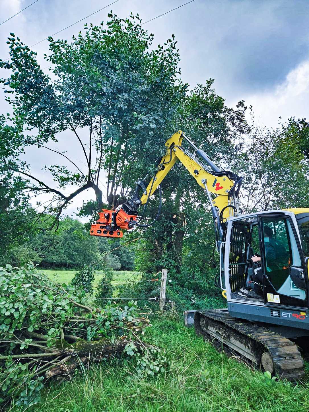 Kompaktbagger wird zur Fällmaschine Kompaktbagger wird zur Fällmaschine