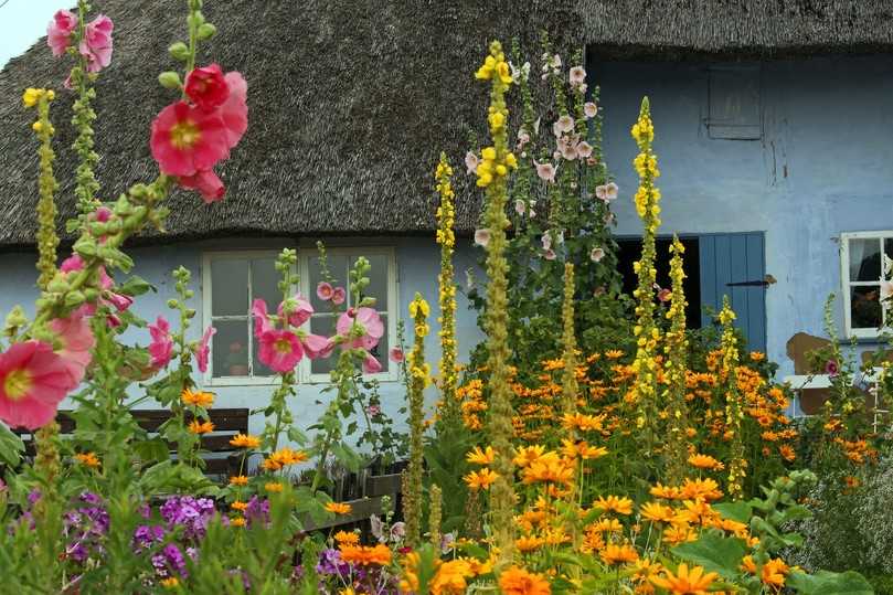 Über 75 Prozent, vor allem Frauen, achten beim Kauf neuer Pflanzen für den Garten auf die Förderung biologischer Vielfalt – von „ein bisschen“ bis „sehr stark“. | Foto: Pixabay Über 75 Prozent, vor allem Frauen, achten beim Kauf neuer Pflanzen für den Garten auf die Förderung biologischer Vielfalt – von „ein bisschen“ bis „sehr stark“. | Foto: Pixabay