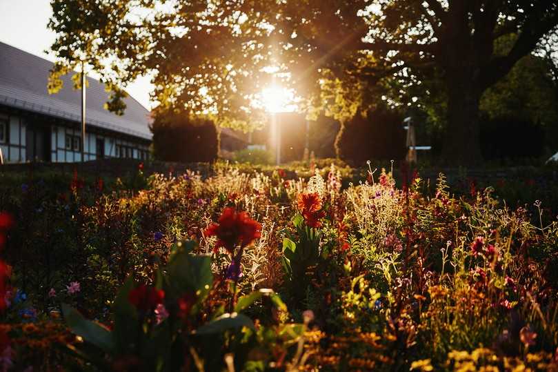 Eine laue Sommernacht mit Führungen, Musik und Showeinlagen ist auf der Landesgartenschau in Bad Dürrenberg angesagt. | Foto: Jimi Gramming Eine laue Sommernacht mit Führungen, Musik und Showeinlagen ist auf der Landesgartenschau in Bad Dürrenberg angesagt. | Foto: Jimi Gramming