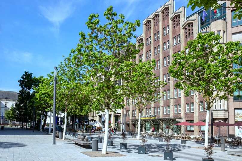 Die Langzeit-Stammschutzfarbe Arbo FLEX vermeidet thermische Rindenschäden. | Foto: GEFA Fabritz Die Langzeit-Stammschutzfarbe Arbo FLEX vermeidet thermische Rindenschäden. | Foto: GEFA Fabritz
