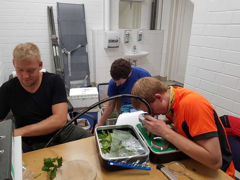 Geförderte Abschlussarbeit: (v.l.n.r.) Mats Hagemann, Fabian Gäckle und Felix Funke bei der Messung von Wasserdämmpotenzial. | Foto: Norbert Müller Geförderte Abschlussarbeit: (v.l.n.r.) Mats Hagemann, Fabian Gäckle und Felix Funke bei der Messung von Wasserdämmpotenzial. | Foto: Norbert Müller