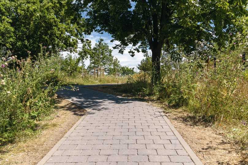Üppige Vegetationsflächen und das versickerungsfreudige Pflaster bilden ein Reservoir für die Aufnahme und Speicherung von Niederschlagswasser | Foto: Guido Wollenberg / Jasto Baustoffwerke Üppige Vegetationsflächen und das versickerungsfreudige Pflaster bilden ein Reservoir für die Aufnahme und Speicherung von Niederschlagswasser | Foto: Guido Wollenberg / Jasto Baustoffwerke