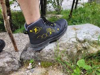 Im Beet und in den Alpen