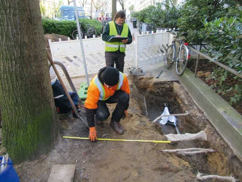 Beim Umgang mit Baumwurzeln sind Feingefühl und Sachverstand gefragt. Werden in Hamburg neben Straßenbäumen Tiefbauarbeiten durchgeführt, müssen diese gemäß Baumschutzverordnung von Baumpflegern begleitet werden. | Foto: Foto: Baumpflege Bollmann Beim Umgang mit Baumwurzeln sind Feingefühl und Sachverstand gefragt. Werden in Hamburg neben Straßenbäumen Tiefbauarbeiten durchgeführt, müssen diese gemäß Baumschutzverordnung von Baumpflegern begleitet werden. | Foto: Foto: Baumpflege Bollmann