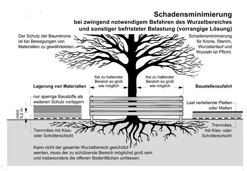 Schadensminimierung bei zwingend notwendigem Befahren des Wurzelbereiches und sonstiger befristeter Belastung (aus: R SBB 2023). Wenn nicht der gesamte Wurzelbereich geschützt werden kann, sollte so viel wie möglich durch einen ortsfesten Zaun geschützt werden. | Foto: FGSV Schadensminimierung bei zwingend notwendigem Befahren des Wurzelbereiches und sonstiger befristeter Belastung (aus: R SBB 2023). Wenn nicht der gesamte Wurzelbereich geschützt werden kann, sollte so viel wie möglich durch einen ortsfesten Zaun geschützt werden. | Foto: FGSV